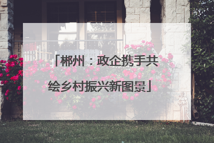 郴州：政企携手共绘乡村振兴新图景