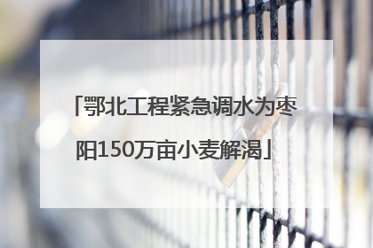 鄂北工程紧急调水为枣阳150万亩小麦解渴
