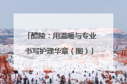 醴陵：用温暖与专业 书写护理华章（图）