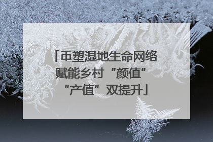 重塑湿地生命网络 赋能乡村“颜值”“产值”双提升