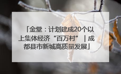 金堂：计划建成20个以上集体经济“百万村”｜成都县市新城高质量发展