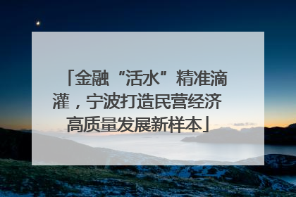 金融“活水”精准滴灌，宁波打造民营经济高质量发展新样本