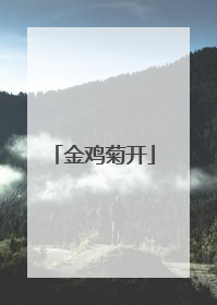 金鸡菊开