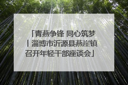 青燕争锋 同心筑梦丨淄博市沂源县燕崖镇召开年轻干部座谈会
