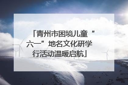 青州市困境儿童“六一”地名文化研学行活动温暖启航
