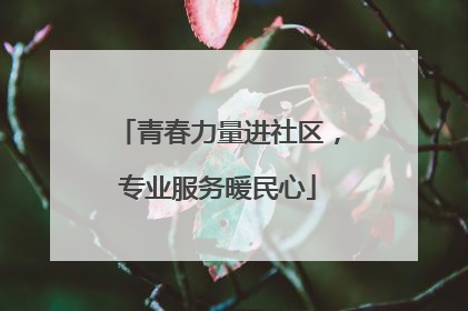 青春力量进社区，专业服务暖民心