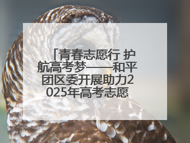 青春志愿行 护航高考梦——和平团区委开展助力2025年高考志愿服务活动