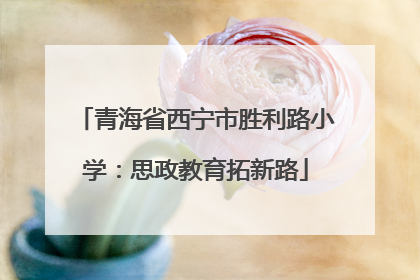 青海省西宁市胜利路小学：思政教育拓新路