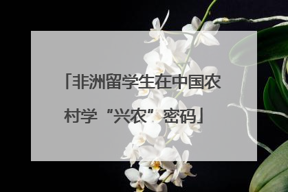 非洲留学生在中国农村学“兴农”密码