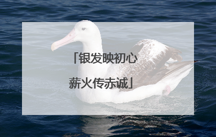 银发映初心 薪火传赤诚