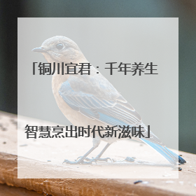 铜川宜君：千年养生智慧烹出时代新滋味