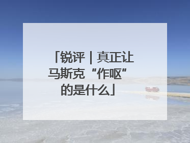 锐评｜真正让马斯克“作呕”的是什么