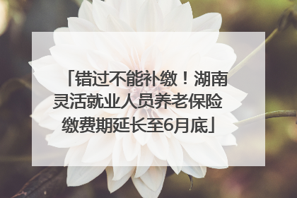 错过不能补缴！湖南灵活就业人员养老保险缴费期延长至6月底