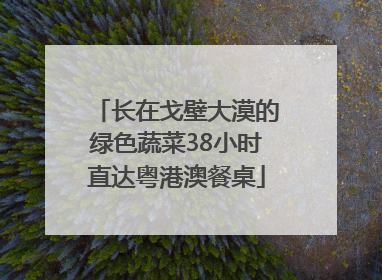 长在戈壁大漠的绿色蔬菜38小时直达粤港澳餐桌