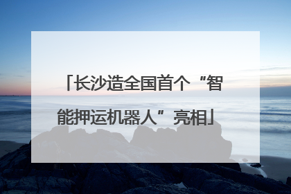 长沙造全国首个“智能押运机器人”亮相