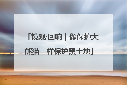 镜观·回响｜像保护大熊猫一样保护黑土地