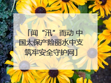 闻“汛”而动 中国太保产险丽水中支筑牢安全守护网
