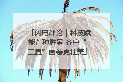 闪电评论｜科技赋能芒种胜景 齐鲁“三夏”画卷更壮美
