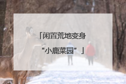 闲置荒地变身“小鹿菜园”