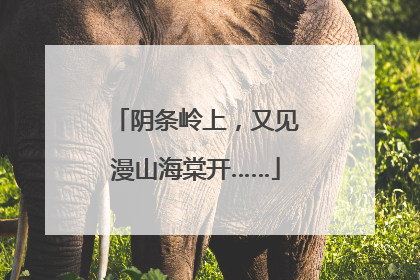 阴条岭上，又见漫山海棠开……