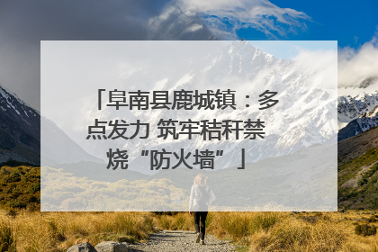 阜南县鹿城镇：多点发力 筑牢秸秆禁烧“防火墙”