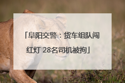 阜阳交警：货车组队闯红灯 28名司机被拘