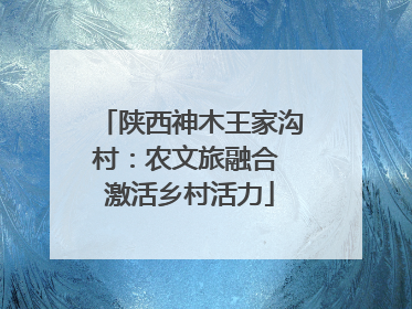 陕西神木王家沟村：农文旅融合 激活乡村活力