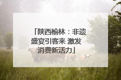 陕西榆林：非遗盛宴引客来 激发消费新活力