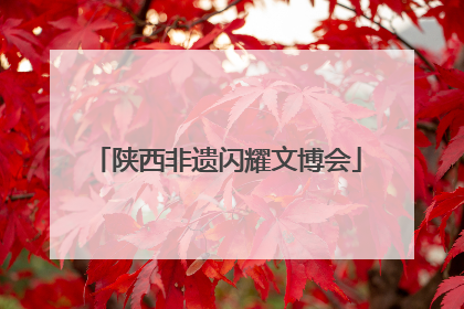 陕西非遗闪耀文博会
