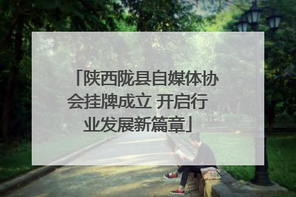 陕西陇县自媒体协会挂牌成立 开启行业发展新篇章