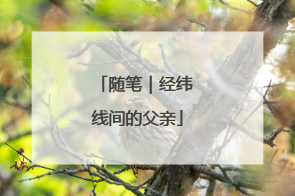 随笔｜经纬线间的父亲
