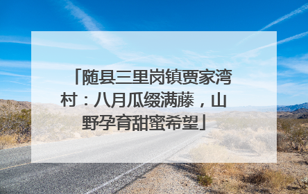 随县三里岗镇贾家湾村：八月瓜缀满藤，山野孕育甜蜜希望