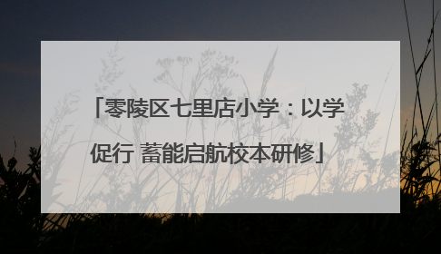 零陵区七里店小学：以学促行 蓄能启航校本研修