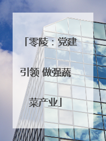 零陵：党建引领 做强蔬菜产业