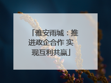 雅安雨城：推进政企合作 实现互利共赢