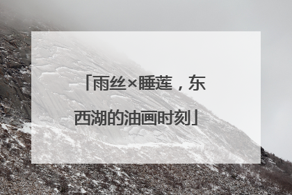 雨丝×睡莲，东西湖的油画时刻