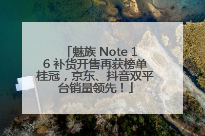 魅族 Note 16 补货开售再获榜单桂冠，京东、抖音双平台销量领先！