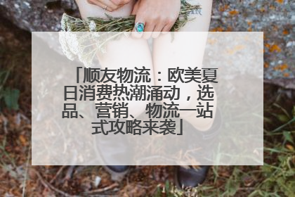 顺友物流：欧美夏日消费热潮涌动，选品、营销、物流一站式攻略来袭