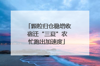 颗粒归仓稳增收 宿迁“三夏”农忙跑出加速度