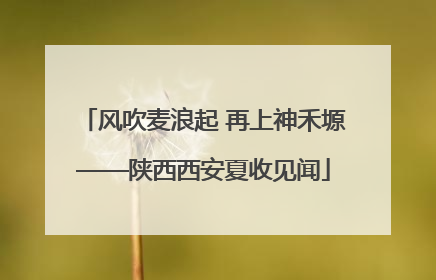 风吹麦浪起 再上神禾塬——陕西西安夏收见闻