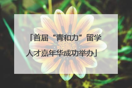 首届“青和力”留学人才嘉年华成功举办