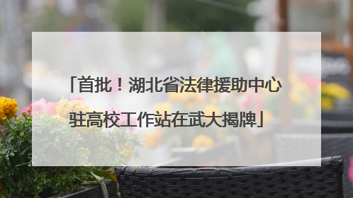 首批！湖北省法律援助中心驻高校工作站在武大揭牌