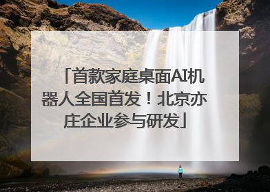 首款家庭桌面AI机器人全国首发！北京亦庄企业参与研发