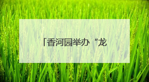 香河园举办“龙舟竞速”嘉年华，让“奔跑者”感受节日温情