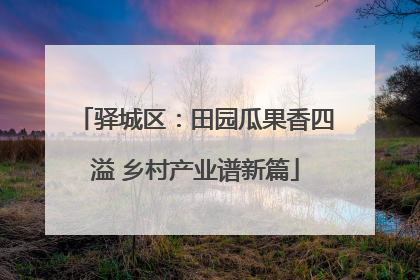 驿城区：田园瓜果香四溢 乡村产业谱新篇