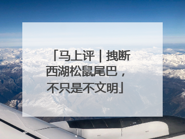 马上评｜拽断西湖松鼠尾巴，不只是不文明