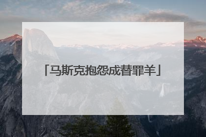 马斯克抱怨成替罪羊