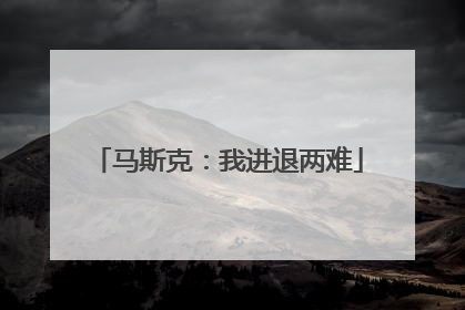 马斯克：我进退两难