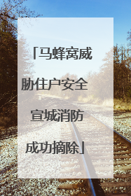 马蜂窝威胁住户安全 宣城消防成功摘除