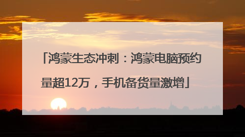 鸿蒙生态冲刺：鸿蒙电脑预约量超12万，手机备货量激增